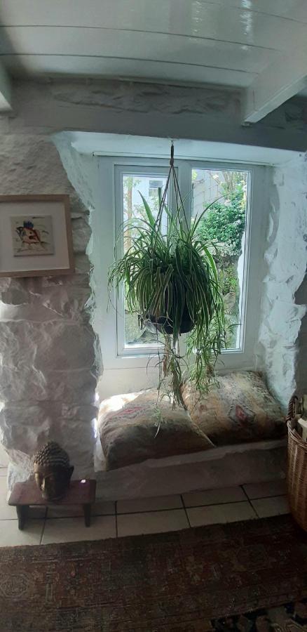 Cozy Carbence Cottage Carbis Bay Экстерьер фото